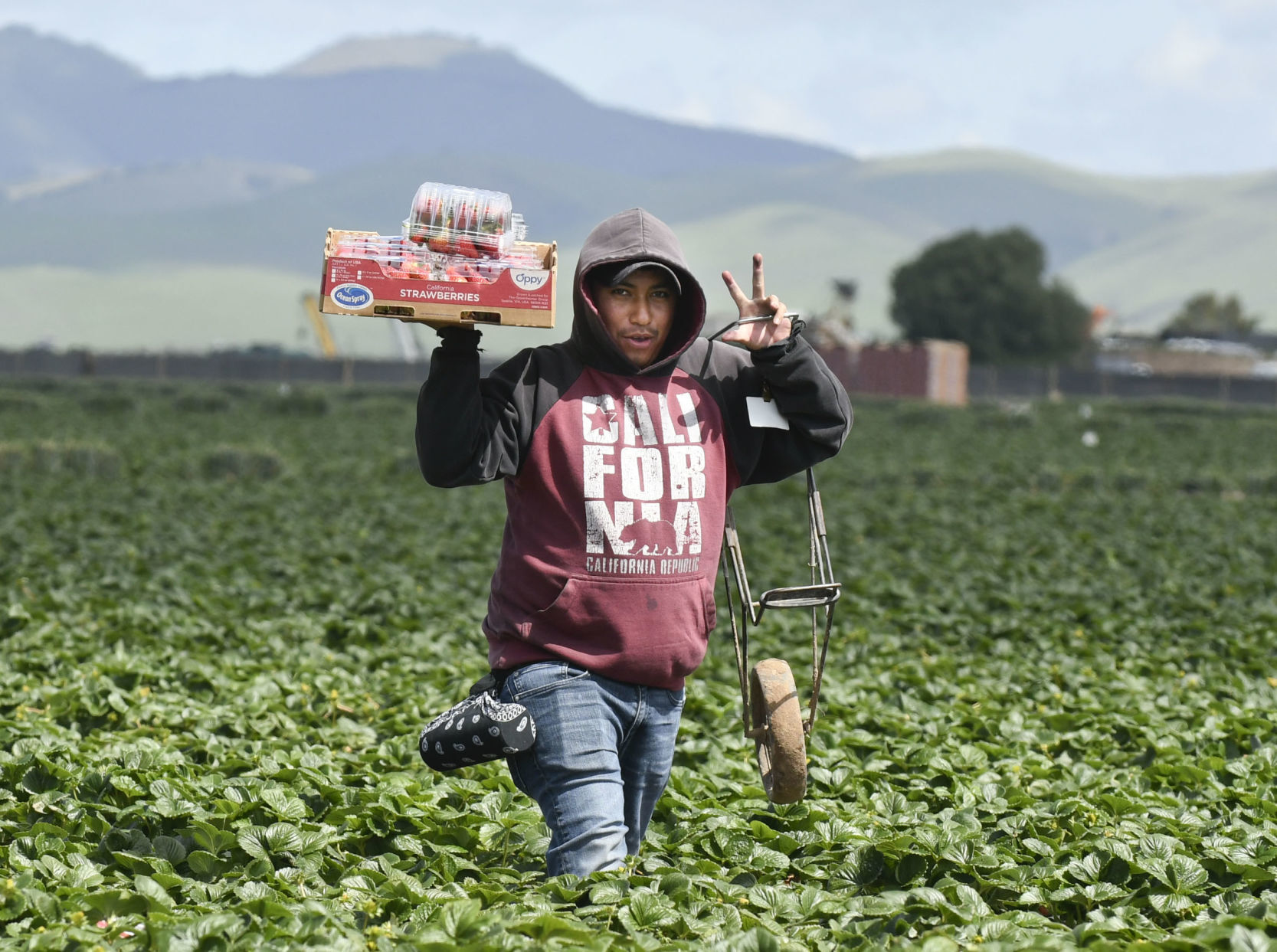032720 Coronavirus agriculture 04.jpg